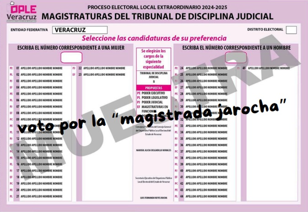 Estos serán los votos válidos y nulos en la elección judicial: INE