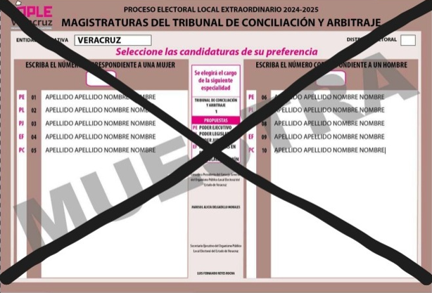 Estos serán los votos válidos y nulos en la elección judicial: INE