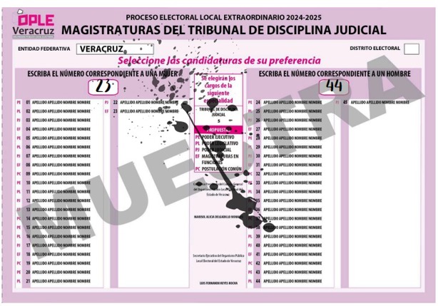 Elecciones Judiciales 2025: ¿Qué pasa si me equivoco al marcar mi boleta? esto debes hacer