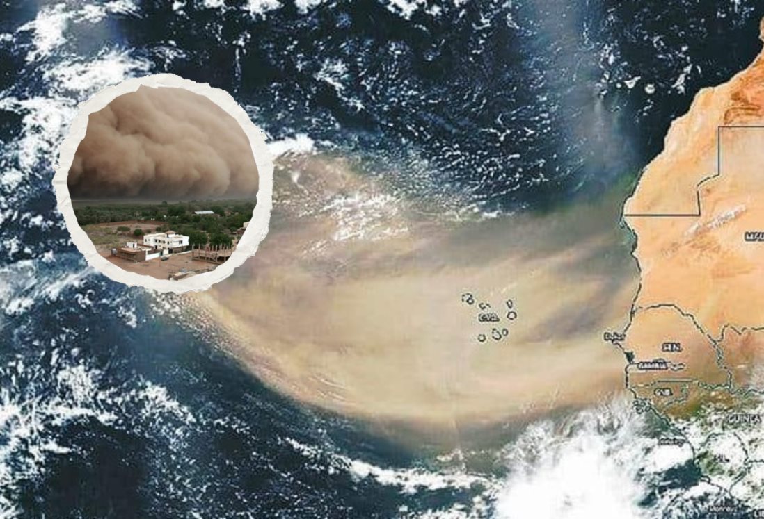 Estos son los efectos que tendría el Polvo del Sahara en el clima de Veracruz