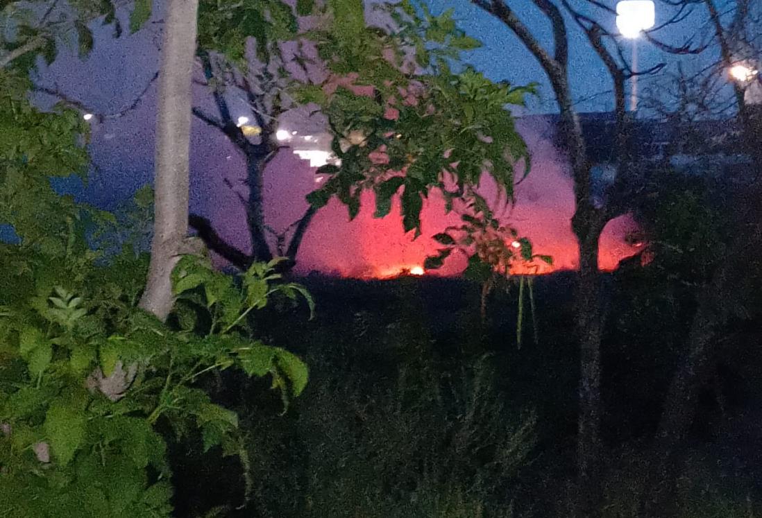 Alertan por incendio de pastizal en las inmediaciones de laguna de El Coyol