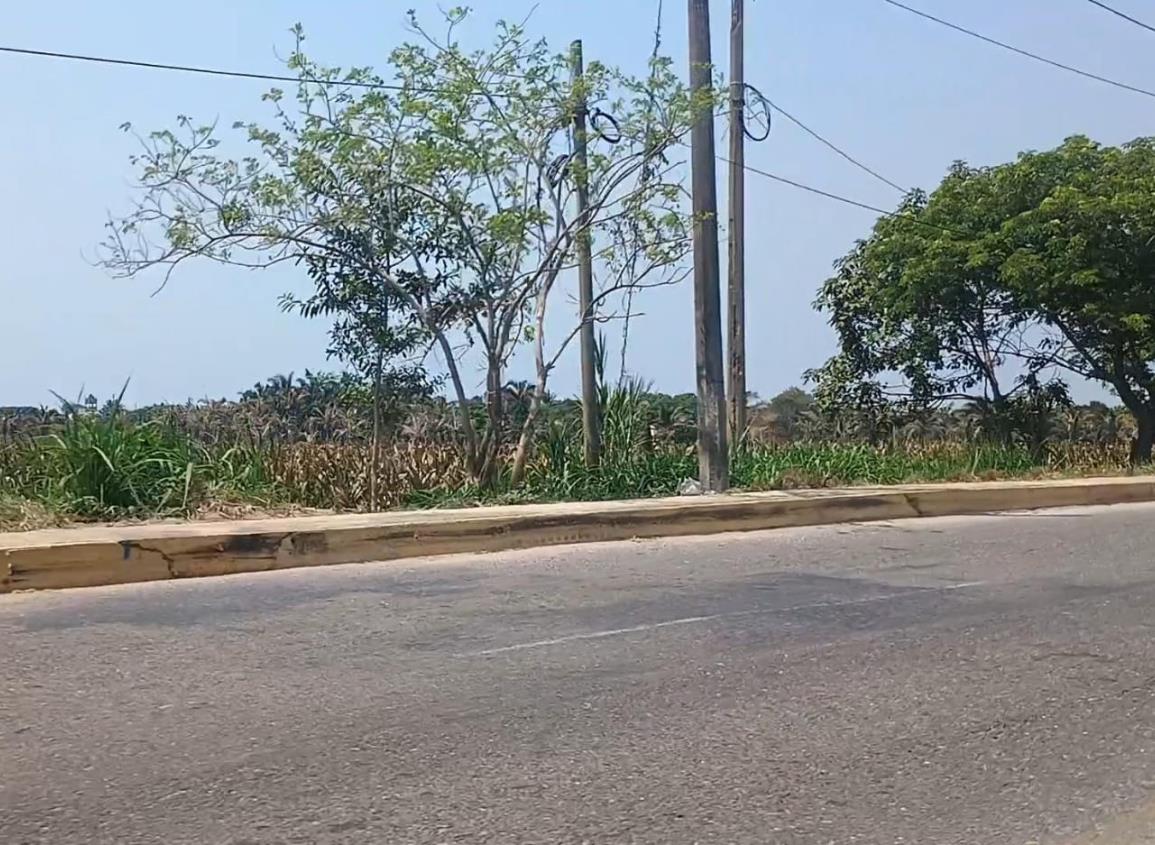 Regresan a invadir predios en derechos de vía de PEMEX y Tren Interoceánico
