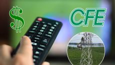 ¿Se te descompuso un aparato tras apagón en Veracruz? Así puedes reclamarle a CFE