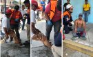 Chocan dos motociclistas en Tierra Blanca