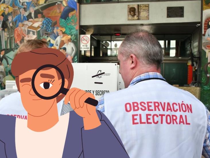 Elecciones Veracruz 2025: ¿quiénes son los observadores electorales y cuántos habrá?