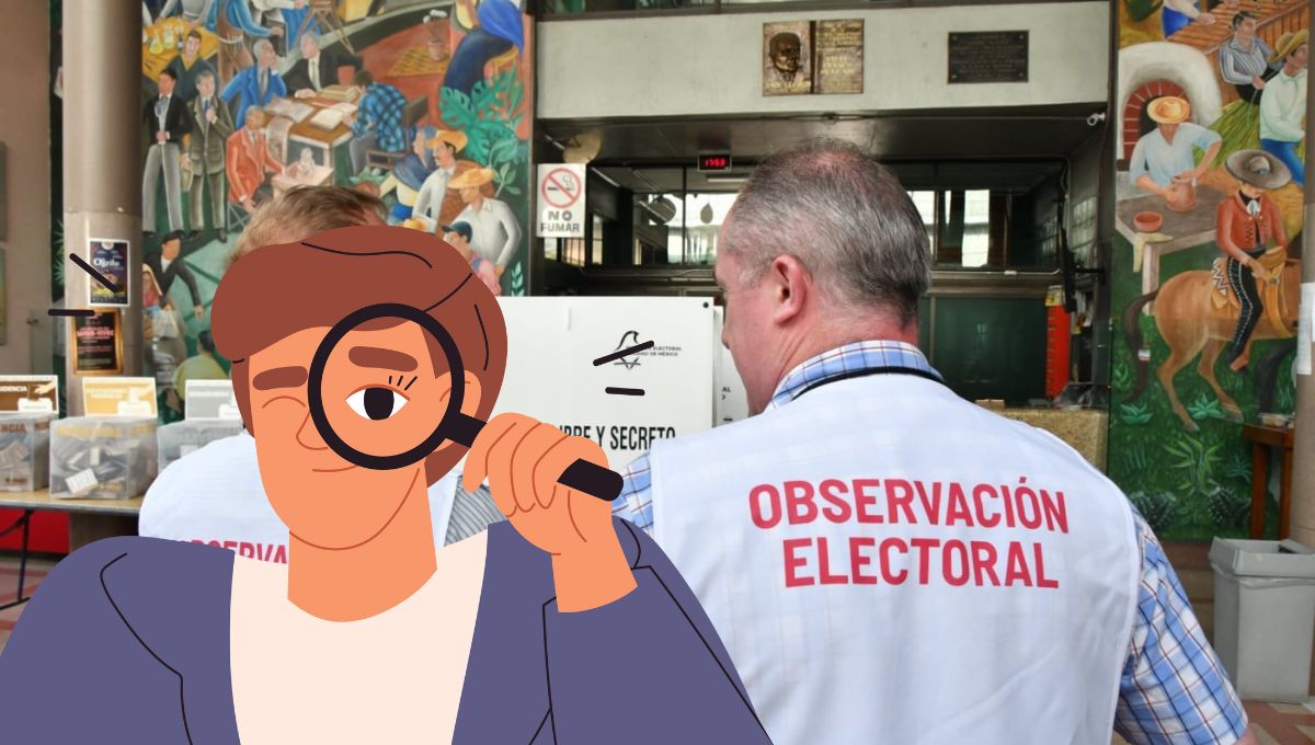 Elecciones Veracruz 2025: ¿quiénes son los observadores electorales y cuántos habrá?