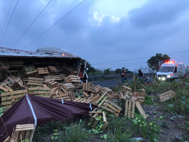 Tráiler con mangos manila se vuelca en Tolome y desata rapiña masiva