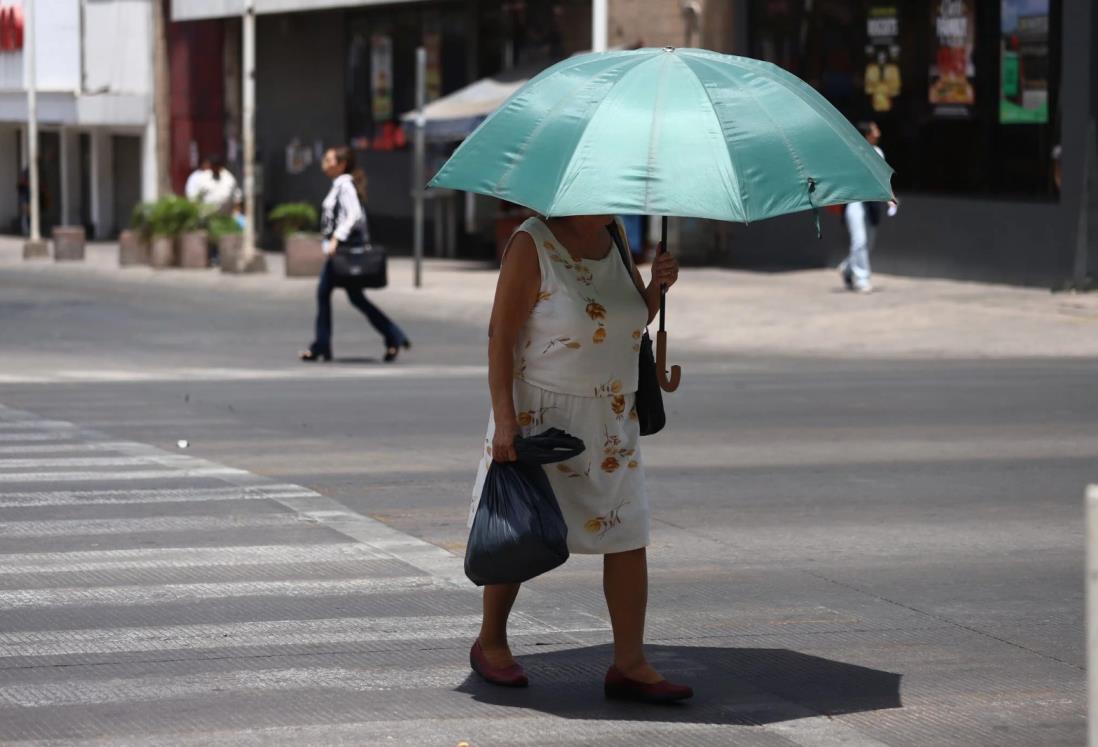 Recomendaciones para acudir a votar este domingo 1 de junio en Veracruz