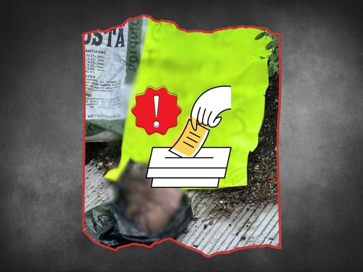 Abandonan cabeza de cerdo y mensaje contra Juan Solano; busca la alcaldía de Coacoatzintla
