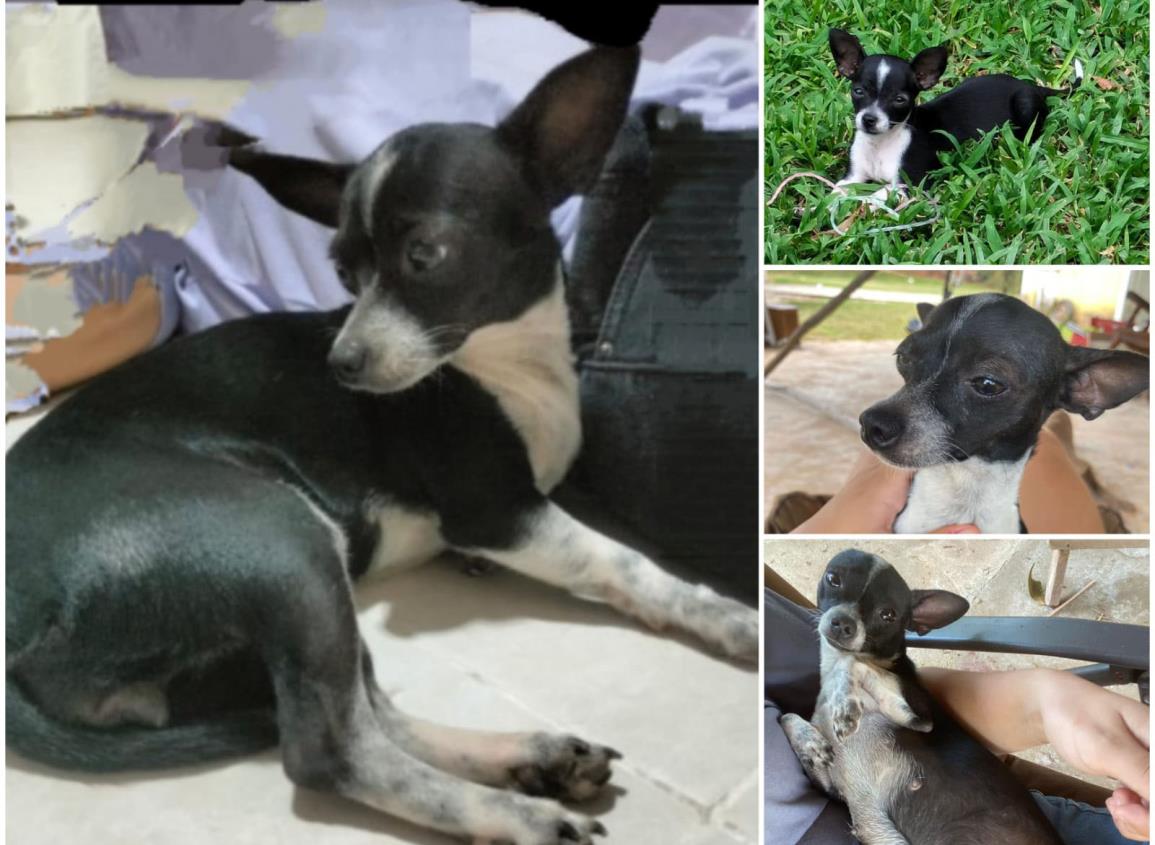 Lolita vuelve con su familia en Agua Dulce tras conmovedora petición