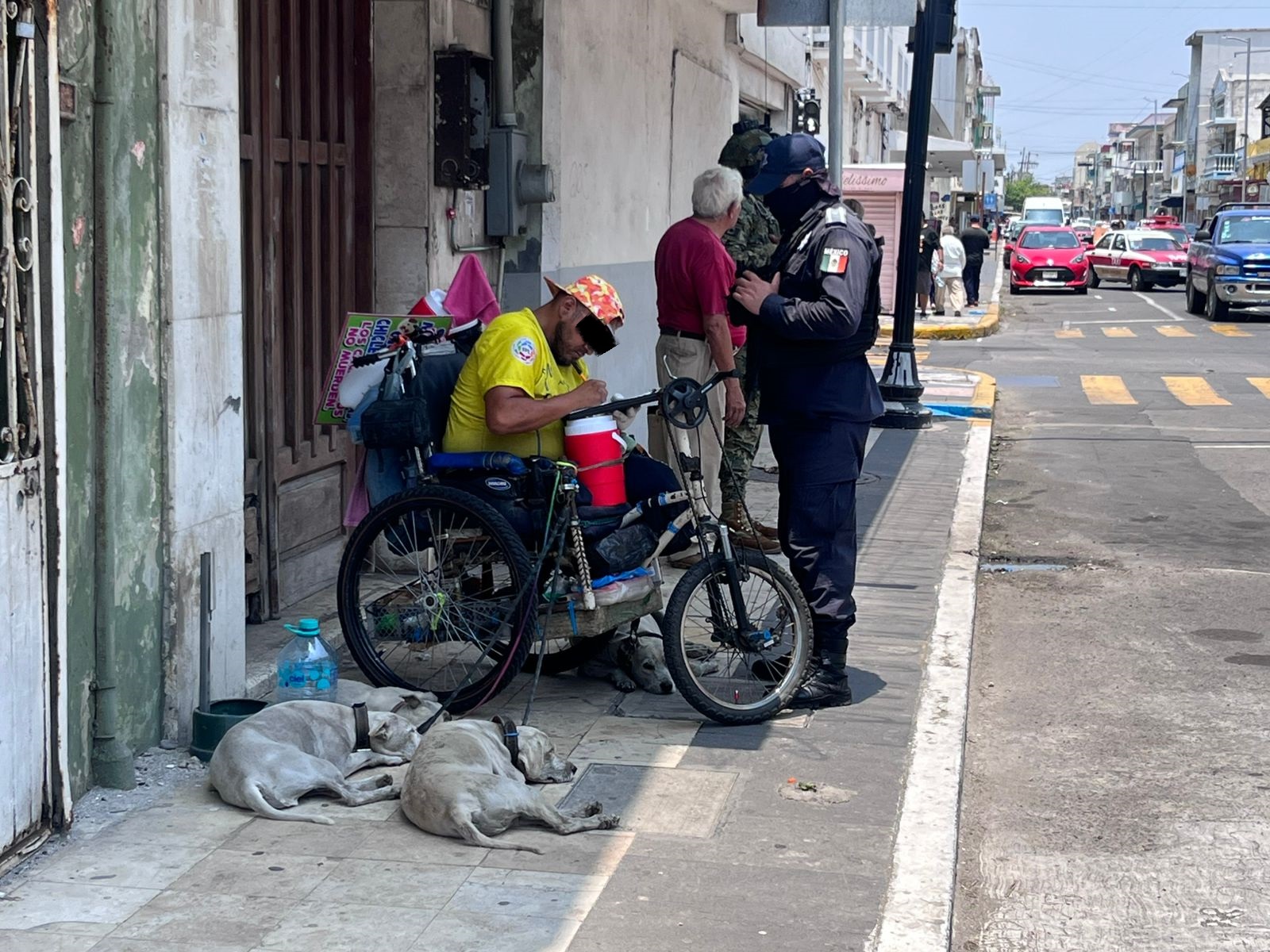 En centro de Veracruz perros de un hombre en silla de ruedas mordieron a un adulto mayor