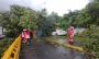 Árbol cae sobre un auto en Xalapa, producto de tormenta eléctrica