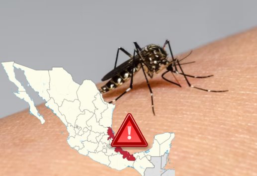 Veracruz, entre los estados donde se concentra el 60% de casos de dengue en todo el país