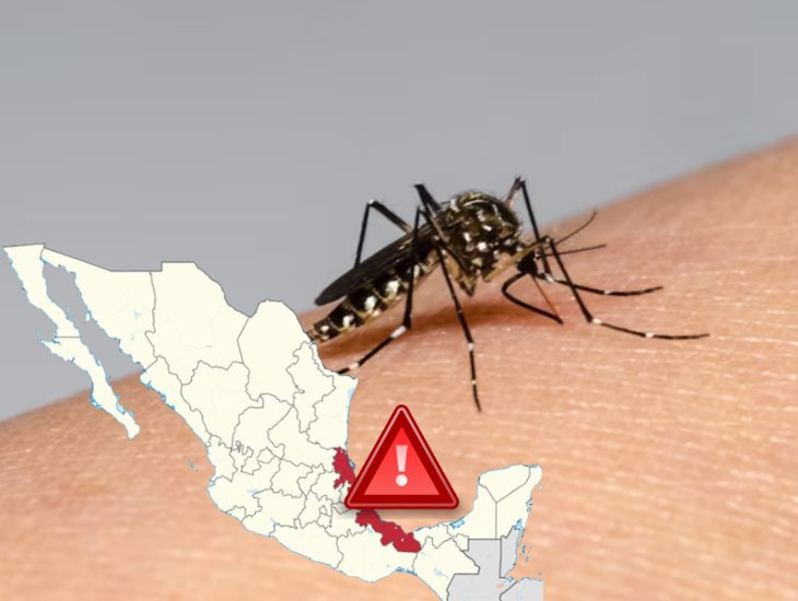 Veracruz, entre los estados donde se concentra el 60% de casos de dengue en todo el país