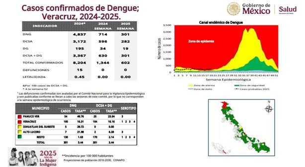 Estos son los municipios de Veracruz con más peligro de contagio de dengue