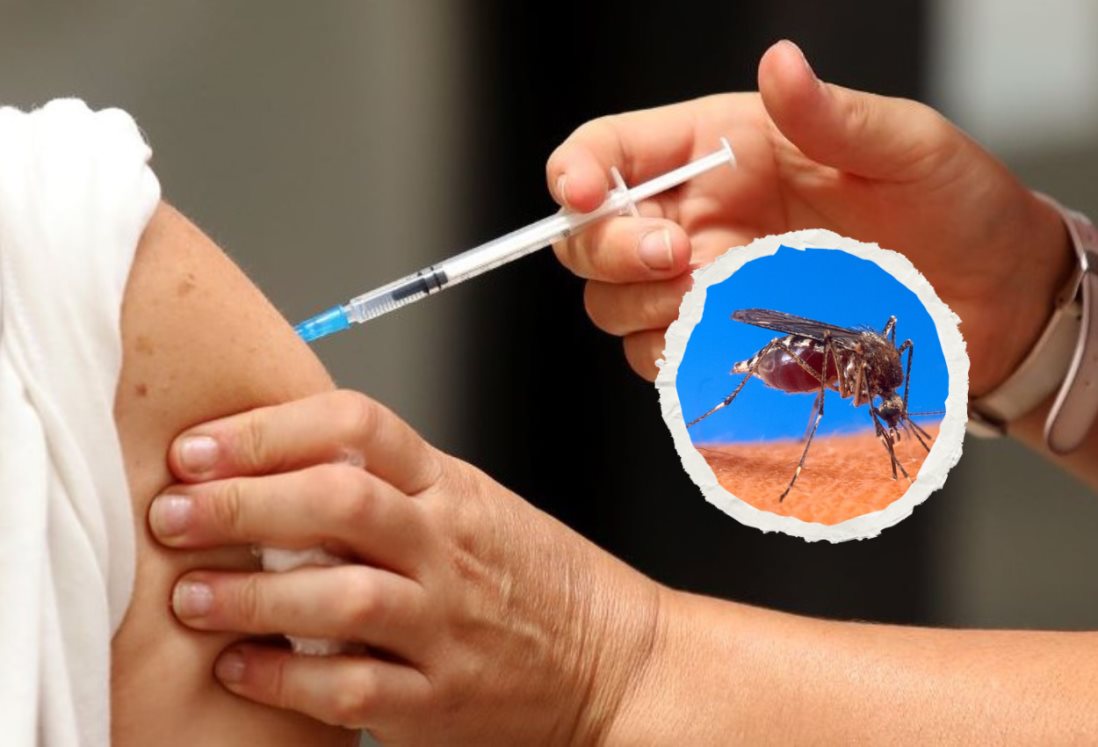 México revela desarrollo de una vacuna contra el dengue