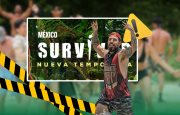 te-puede-interesar