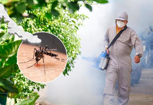 Estos son los municipios de Veracruz con más peligro de contagio de dengue