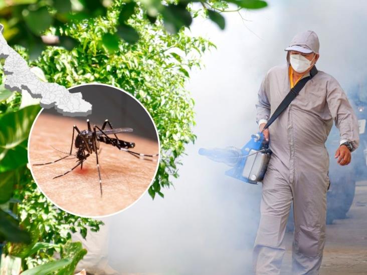Estos son los municipios de Veracruz con más peligro de contagio de dengue