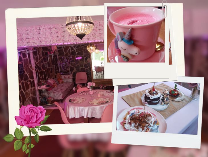 ¿Chilaquiles rosas?, ¡sí! Y también el café, en este sitio especial de Xalapa (+VIDEO)