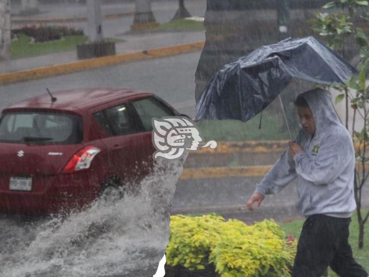 Tormenta en Xalapa deja encharcamientos, caída de árboles y otras afectaciones (+VIDEO)