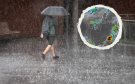 Alertan sobre aumento de probabilidades de tormentas en Veracruz en próximas horas