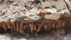 Encuentran restos óseos durante obras en el Centro Histórico de Veracruz