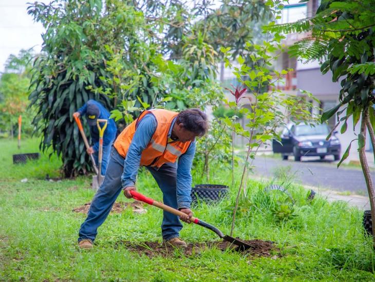 Así celebrará Xalapa el Día Mundial del Medio Ambiente, ¡únete!