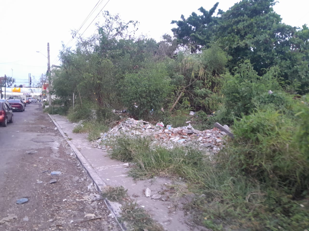 Michi "vigilante" no puede más: Denuncian terreno abandonado en Veracruz