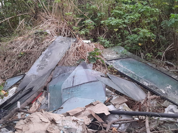 Michi "vigilante" no puede más: Denuncian terreno abandonado en Veracruz