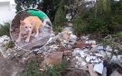 Michi "vigilante" no puede más: Denuncian terreno abandonado en Veracruz