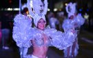 Invitan al Gran Papaqui de Carnaval el domingo 8 de junio sobre el bulevar de Veracruz