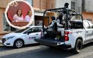 Rocío Nahle confirma seguridad en Boca del Río y municipios con conteo del OPLE