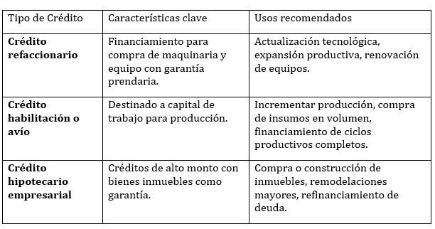 Tipos de crédito comercial: opciones de financiamiento para cada empresa