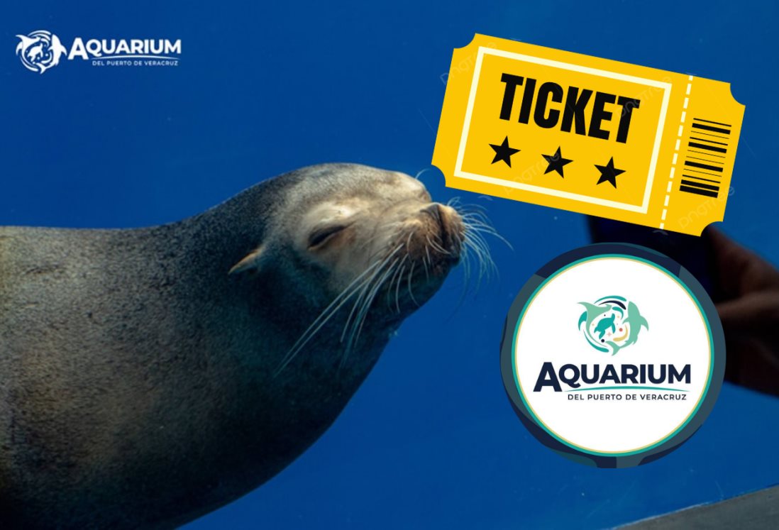 Aquarium de Veracruz 2025: a partir de este día podrás registrarte para entrar al martes gratis en junio