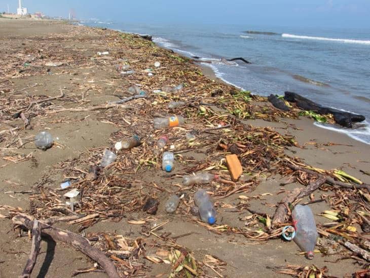 Plásticos en playas mexicanas alarman a autoridades medioambientales, inicia campaña para limpiarlas en su totalidad