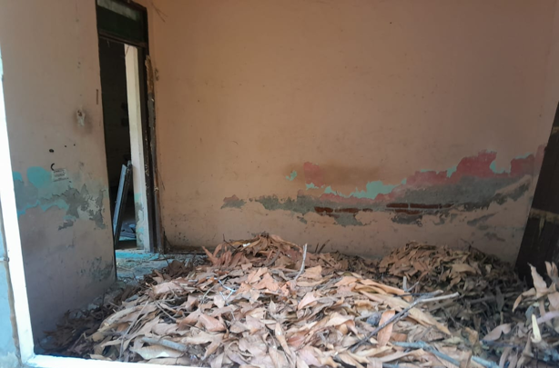Denuncian peligro por casas abandonadas en el Centro de Veracruz