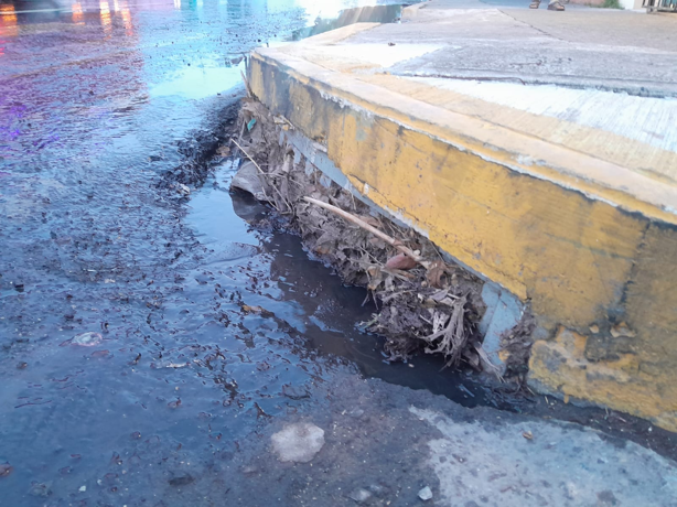 Drenaje colapsado desata pestilencia en avenida Lázaro Cárdenas, denuncian vecinos de Boca del Río