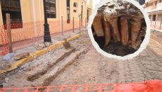 Esto resultaron ser los huesos encontrados en obras del centro histórico de Veracruz