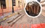 Esto resultaron ser los huesos encontrados en obras del centro histórico de Veracruz