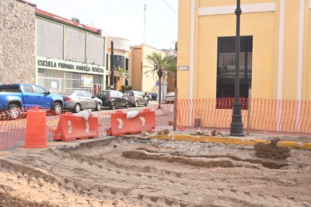 Esto resultaron ser los huesos encontrados en obras del centro histórico de Veracruz