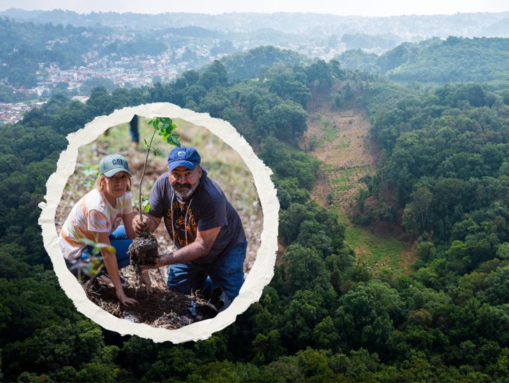 Por el Día del Medio Ambiente, inicia campaña de Reforestación 2025 en Xalapa