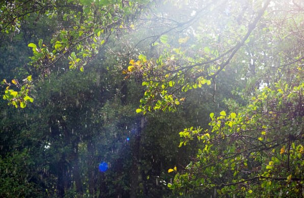 PC confirma sensación de calor con lluvias en Veracruz para próximas 24 horas