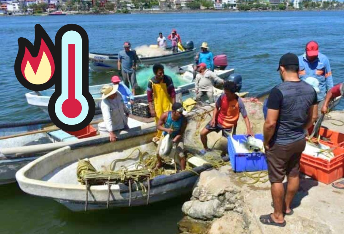 Altas temperaturas marinas ahuyentan peces y golpean economía de pescadores de Veracruz