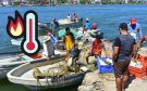 Altas temperaturas marinas ahuyentan peces y golpean economía de pescadores de Veracruz