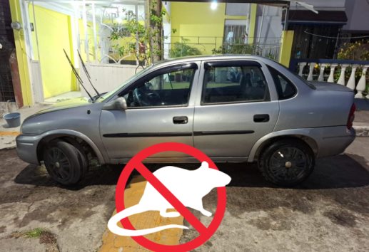¿Y la policía?: Roban auto en Córdoba 