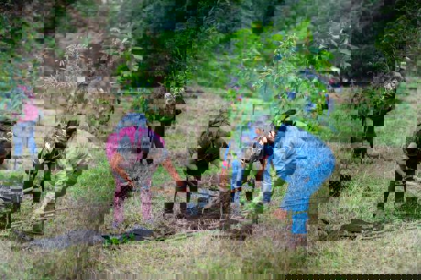 Por el Día del Medio Ambiente, inicia campaña de Reforestación 2025 en Xalapa