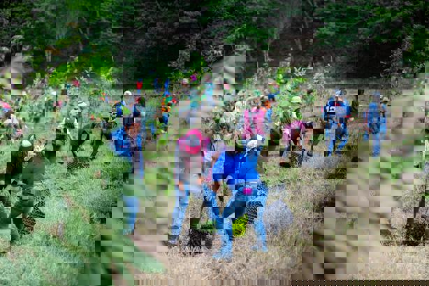 Por el Día del Medio Ambiente, inicia campaña de Reforestación 2025 en Xalapa