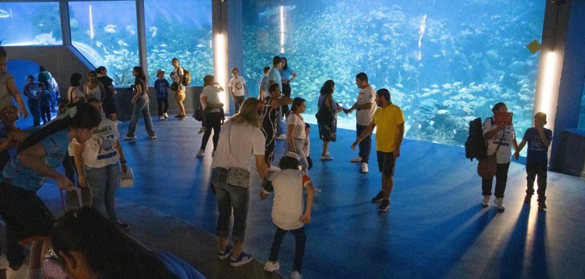 Aquarium de Veracruz: Este día hacen recorrido especial para personas con autismo