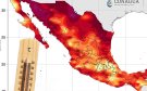 Canícula 2025: este día ingresa y así podría afectar a Veracruz